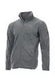Castor Grey