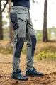 Castor Grey